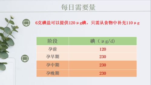 孕十三周营养需求开始增多了吗