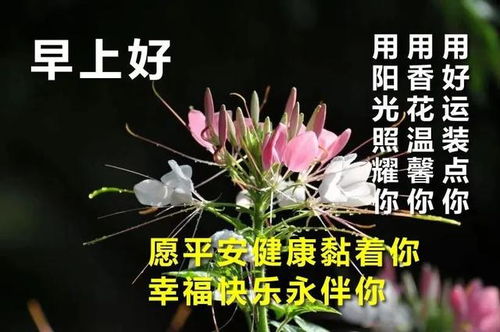 给男朋友早安的暖心话