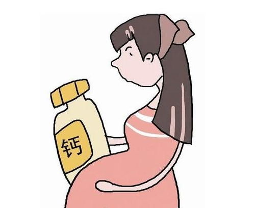 孕期怎么补钙效果好