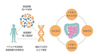 肠道压力大是什么原因