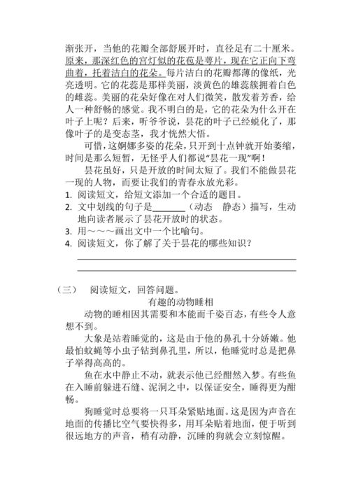 老虎,狐狸,公鸡和小兔作文200字