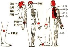 头疼刮痧刮哪个部位图片