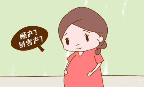 孕妇在什么情况下不能顺产