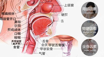 附睾炎很疼吗