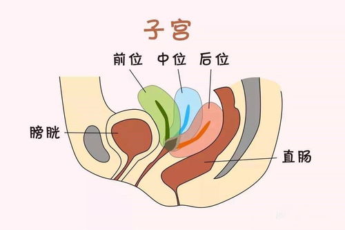 孕期爱磨牙是什么原因引起的