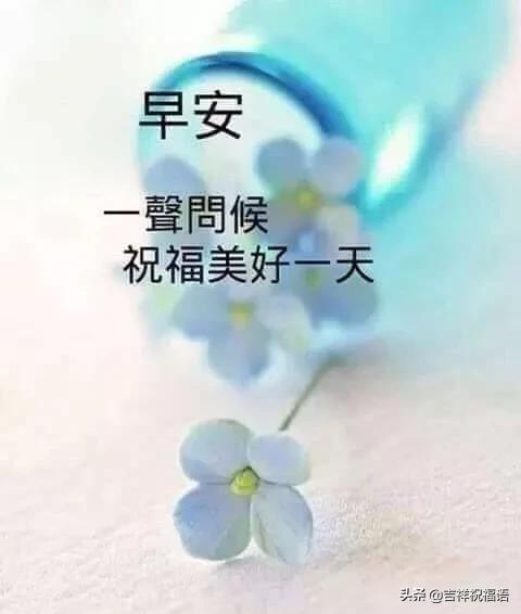 微信早晨好经典短语