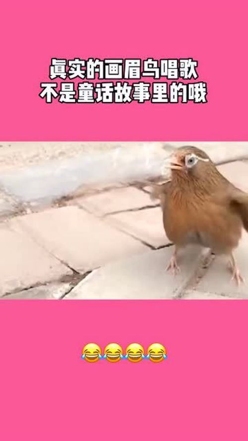 谁知儿童歌曲的名字