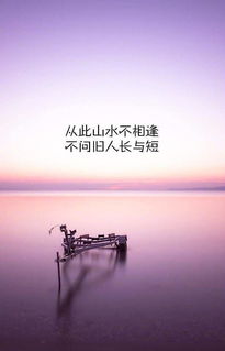 抖音里比较火的说说句子