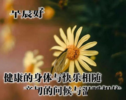 友情早安祝福语图片[精选63句怎么写