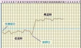 关于排卵期的一些小知识