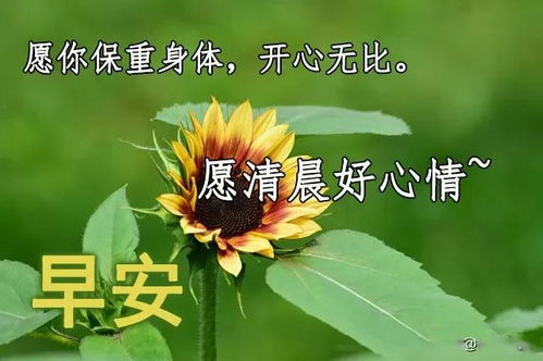 芒种的祝福诗句