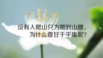 陈果的励志演讲有哪些