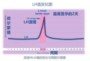 排卵试纸测怀孕准不准