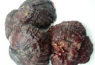 请问现实中真的有失忆麽？