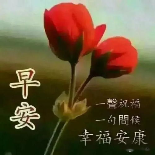 早安撩人情话短句