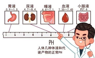 15岁孩子碱性磷酸酶高219其余正常是不是肝炎