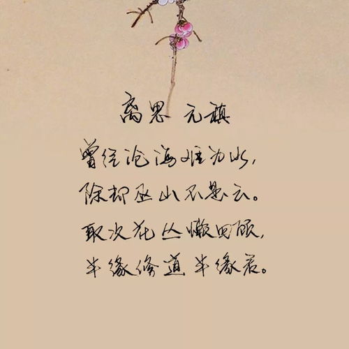 赞美爱情诗句经典语录
