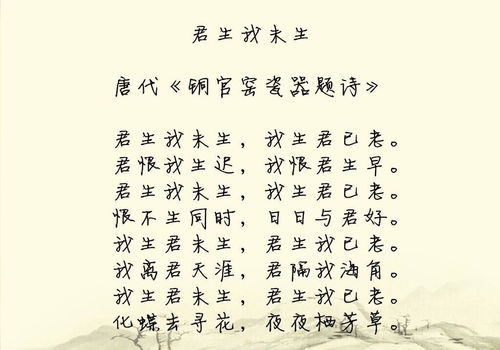 赞美爱情诗句经典语录