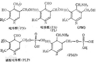 男人吃碳酸氢钠片生男孩吗