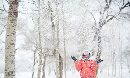 冬天的第一场雪的感悟