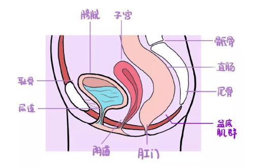 产后盆骨肌肉没有恢复到医生的标准怎么办？