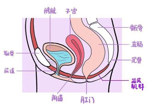 产后盆骨肌肉没有恢复到医生的标准怎么办？