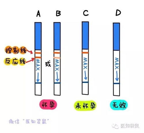 验孕棒如何用准确率较高呢