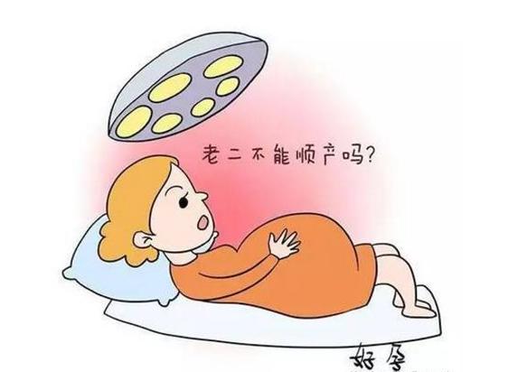 剖腹产后多久可以怀孕