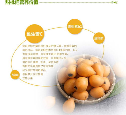 新鲜枇杷怎么熬枇杷膏?