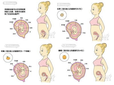 怀孕9个月胎儿的发育状况是什么