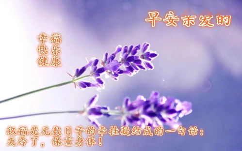 祝福发小生日快乐的简短句子