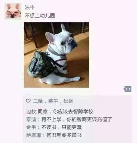 关于对狗狗的思念句子