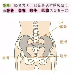 生完小孩为什么肚子还疼