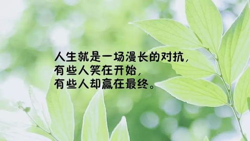 早安鼓励自己的经典语句