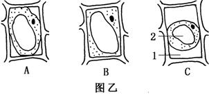 做细菌培养需要多少天，多