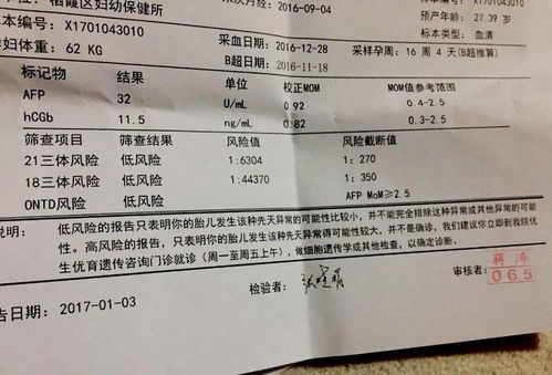 准妈妈要知道的九项孕检项目