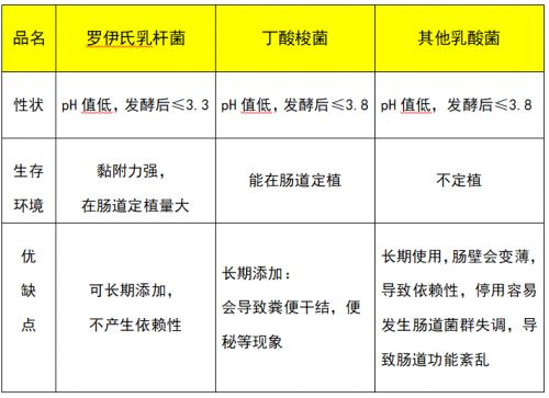 罗伊氏乳杆菌(Lactobacillus reuteri)的作用