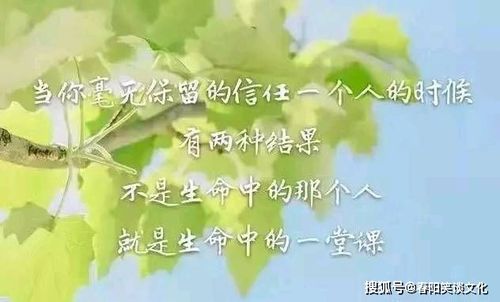 中年人的感悟经典语录[共42句怎么写