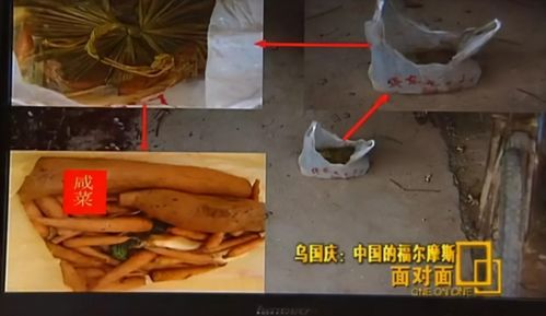 龙凤铁东村灭门惨案