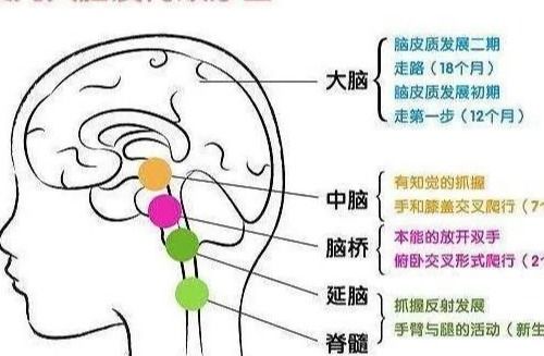 如何让孩子的大脑处于最佳状态呢