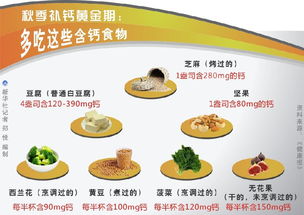 哪些食物中富含叶酸适合备孕