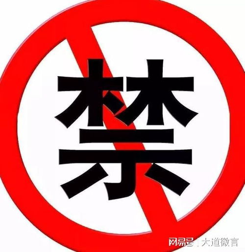 关于拒绝放烟花爆竹的感悟作文500字