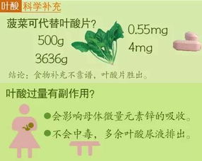 备孕期间在饮食上需要注意什么