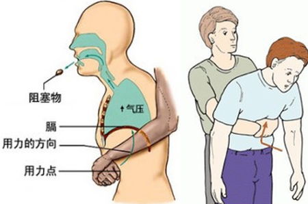 怎样才能判断出怀了孕？