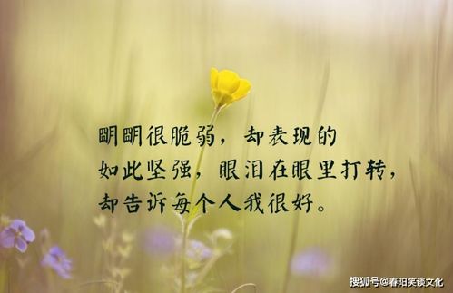 送给爱而不得的人的话[优秀67段怎么写