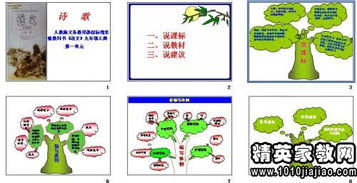 一年级语文下册小池这首是怎么解释