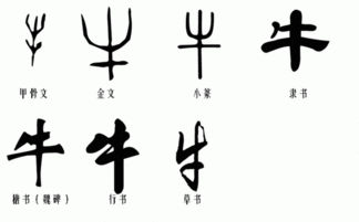 左边牛右边刀是什么字