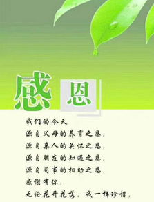 新年感谢客户支持与信任的句子