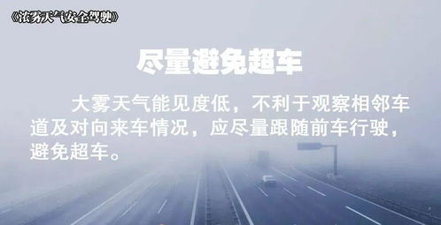 2020第一场雪的文案