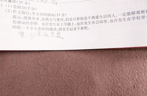 小学生100个好句很短